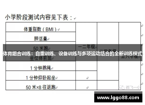 体育组合训练：自重训练、设备训练与多项运动结合的全新训练模式